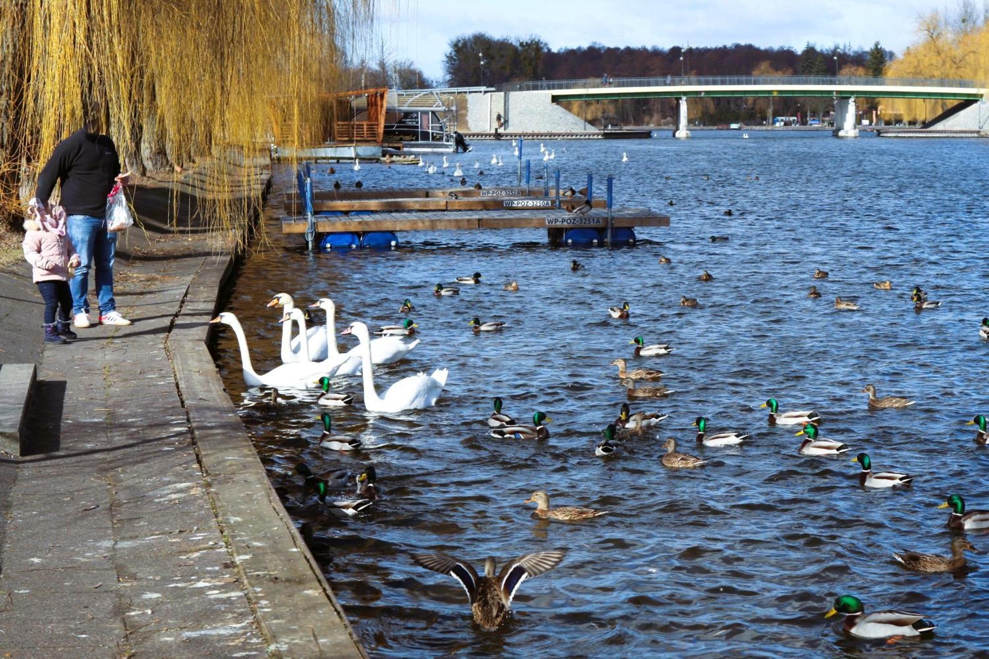 2 Pok Bryza 150m Od Jeziora Augustow